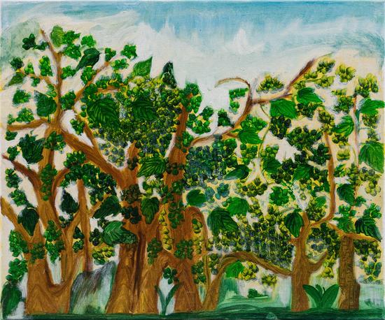 ���P�A����ֲ��ϵ��1��50cmx60cm,�����ͮ�,2018